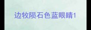 边牧陨石色蓝眼睛