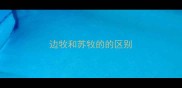 边牧和苏牧的的区别