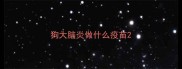 狗大脑炎做什么疫苗