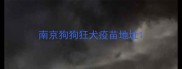 南京狗狗狂犬疫苗地址