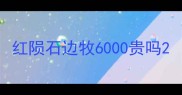 红陨石边牧6000贵吗