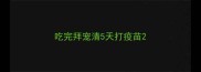 吃完拜宠清5天打疫苗