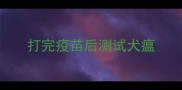 打完疫苗后测试犬瘟