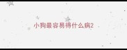 小狗最容易得什么病