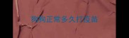 狗狗正常多久打疫苗