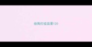 给狗打疫苗要120