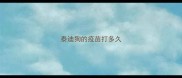 泰迪狗的疫苗打多久