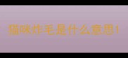 猫咪炸毛是什么意思
