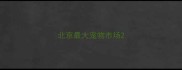 北京最大宠物市场