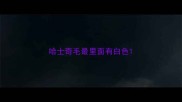 哈士奇毛最里面有白色
