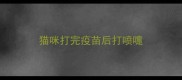 猫咪打完疫苗后打喷嚏