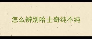 怎么辨别哈士奇纯不纯
