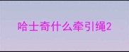 哈士奇什么牵引绳