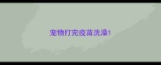 宠物打完疫苗洗澡