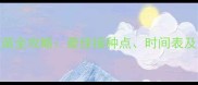 狗狗打疫苗全攻略最佳接种点时间表及注意事项