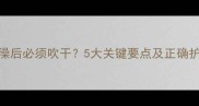 猫咪洗澡后必须吹干5大关键要点及正确护理指南