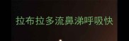 拉布拉多流鼻涕呼吸快