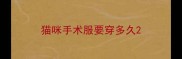 猫咪手术服要穿多久