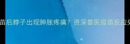 狗狗接种疫苗后脖子出现肿胀疼痛资深兽医疫苗反应处理全攻略