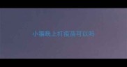 小猫晚上打疫苗可以吗