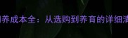 拉布拉多一only饲养成本全从选购到养育的详细清单附价格表
