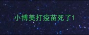 小博美打疫苗死了