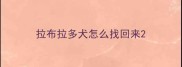 拉布拉多犬怎么找回来