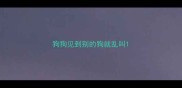 狗狗见到别的狗就乱叫