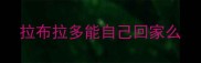 拉布拉多能自己回家么