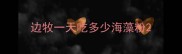 边牧一天吃多少海藻粉