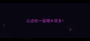 公边牧一直喝水尿多