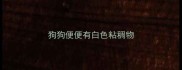 狗狗便便有白色粘稠物