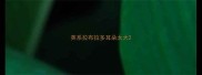 英系拉布拉多耳朵太大