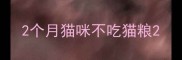 2个月猫咪不吃猫粮