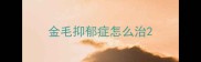 金毛抑郁症怎么治