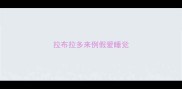 拉布拉多来例假爱睡觉