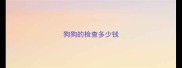 狗狗的检查多少钱