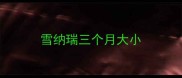 雪纳瑞三个月大小