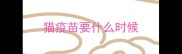 猫疫苗要什么时候