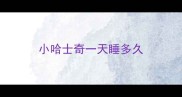 小哈士奇一天睡多久