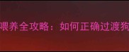 幼犬断奶月龄与科学喂养全攻略如何正确过渡狗狗奶粉与成犬食品