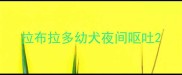 拉布拉多幼犬夜间呕吐
