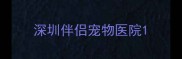 深圳伴侣宠物医院