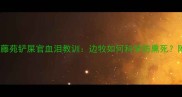 边牧养护必看金藤苑铲屎官血泪教训边牧如何科学防熏死附专业呼吸训练指南