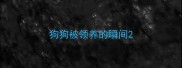 狗狗被领养的瞬间