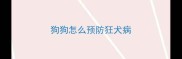 狗狗怎么预防狂犬病
