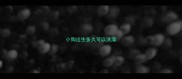 小狗出生多久可以洗澡