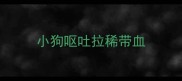 小狗呕吐拉稀带血