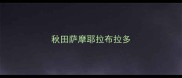 秋田萨摩耶拉布拉多