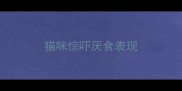 猫咪惊吓厌食表现